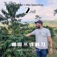 스페셜티커피 원두[Hafid X Mia Selecion 2nd] 에이프릴 피치 100g / 200g